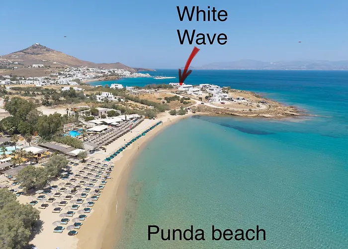 White Wave * Logarász